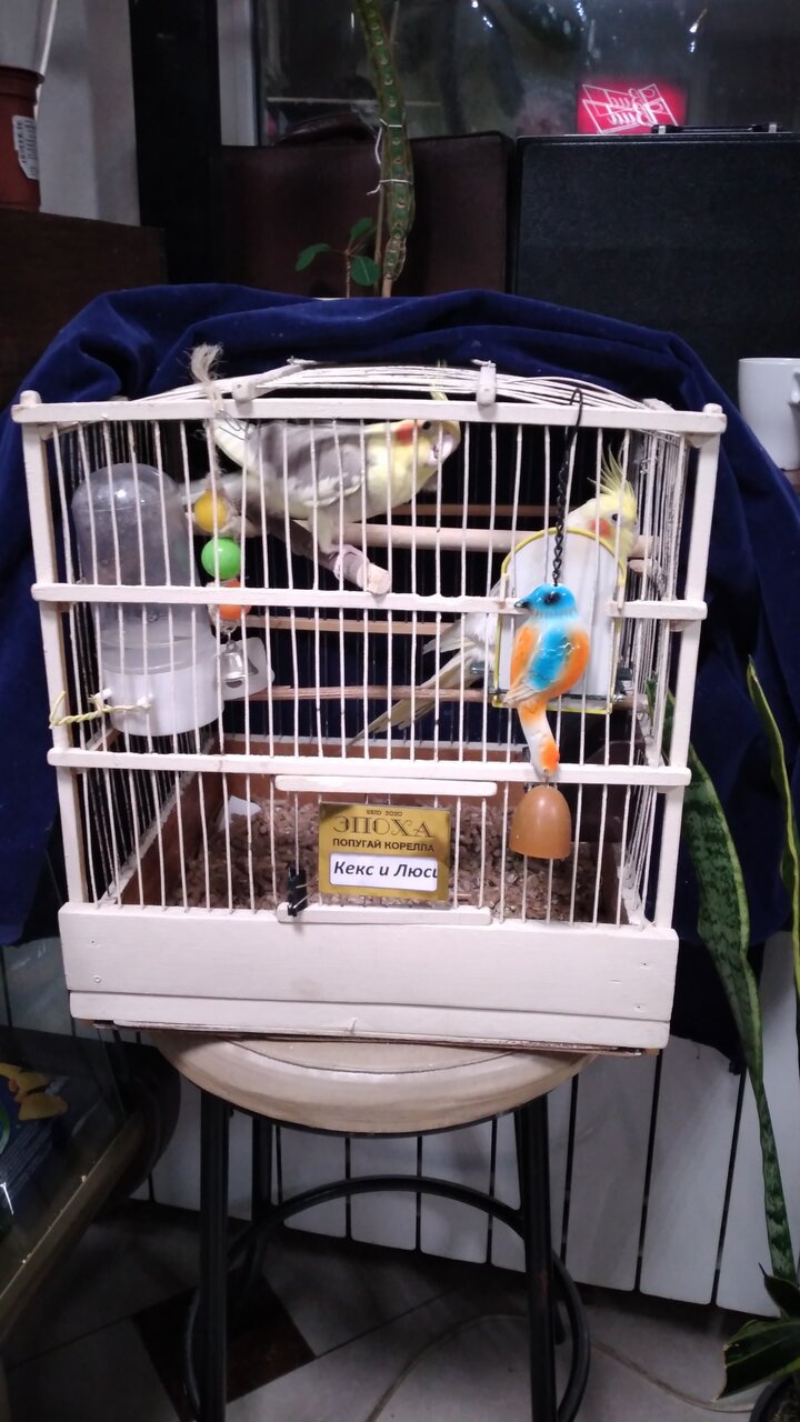 Гостиница Первый поезд Йошкар-Ола-83