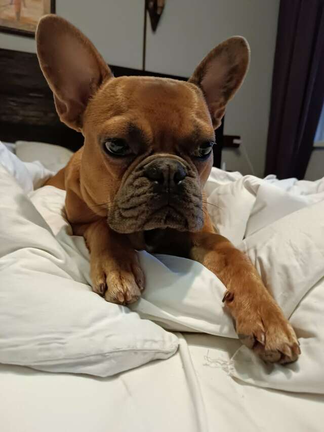 Гостиница Первый поезд Йошкар-Ола-196