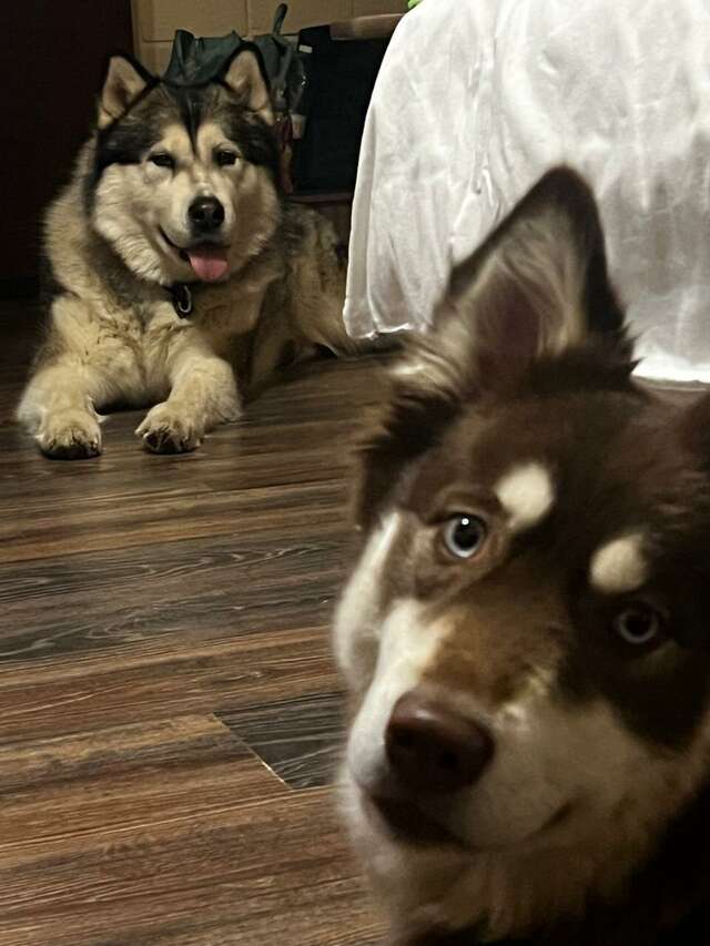 Гостиница Первый поезд Йошкар-Ола-200